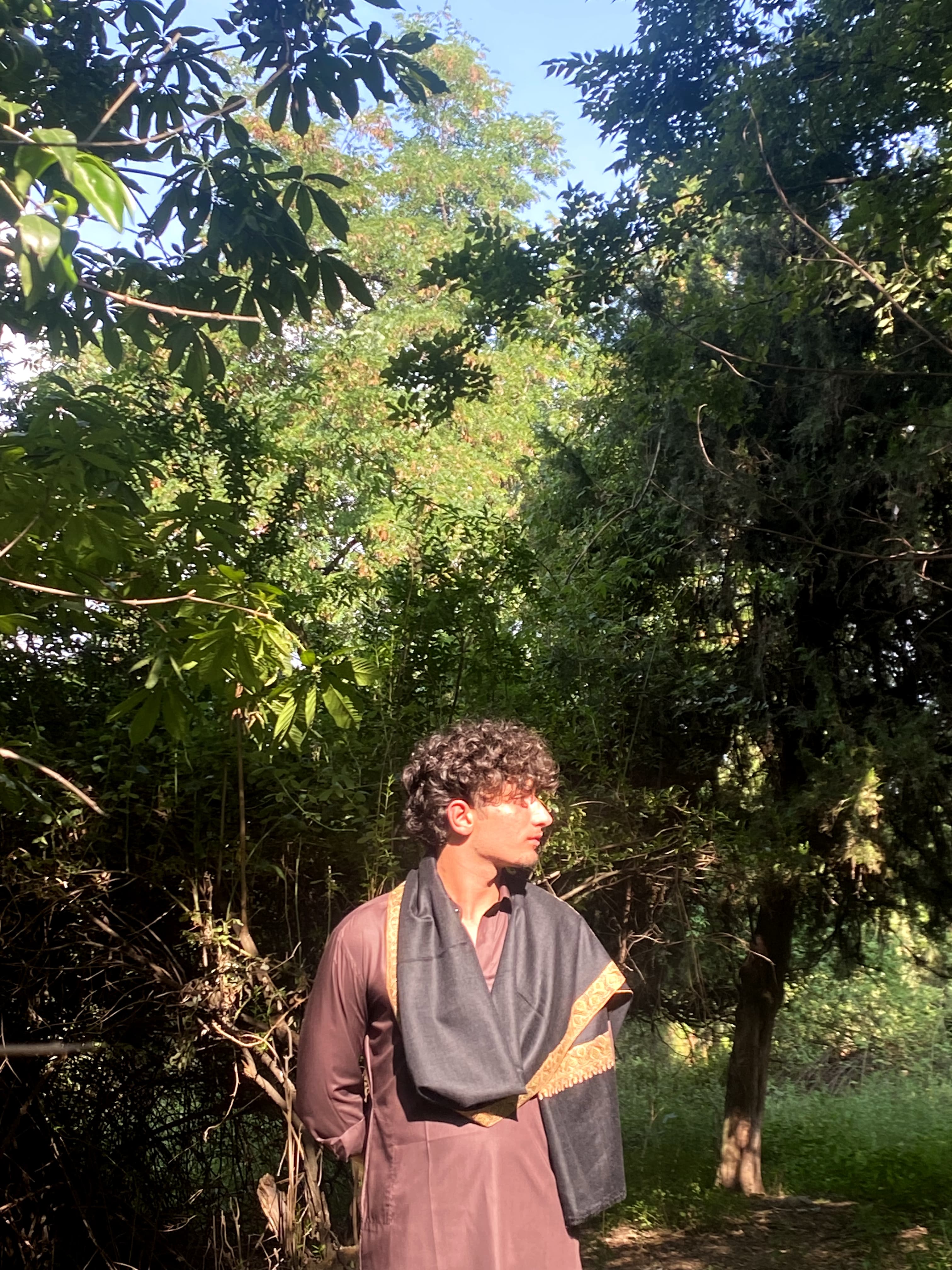 Kashmiri shawl