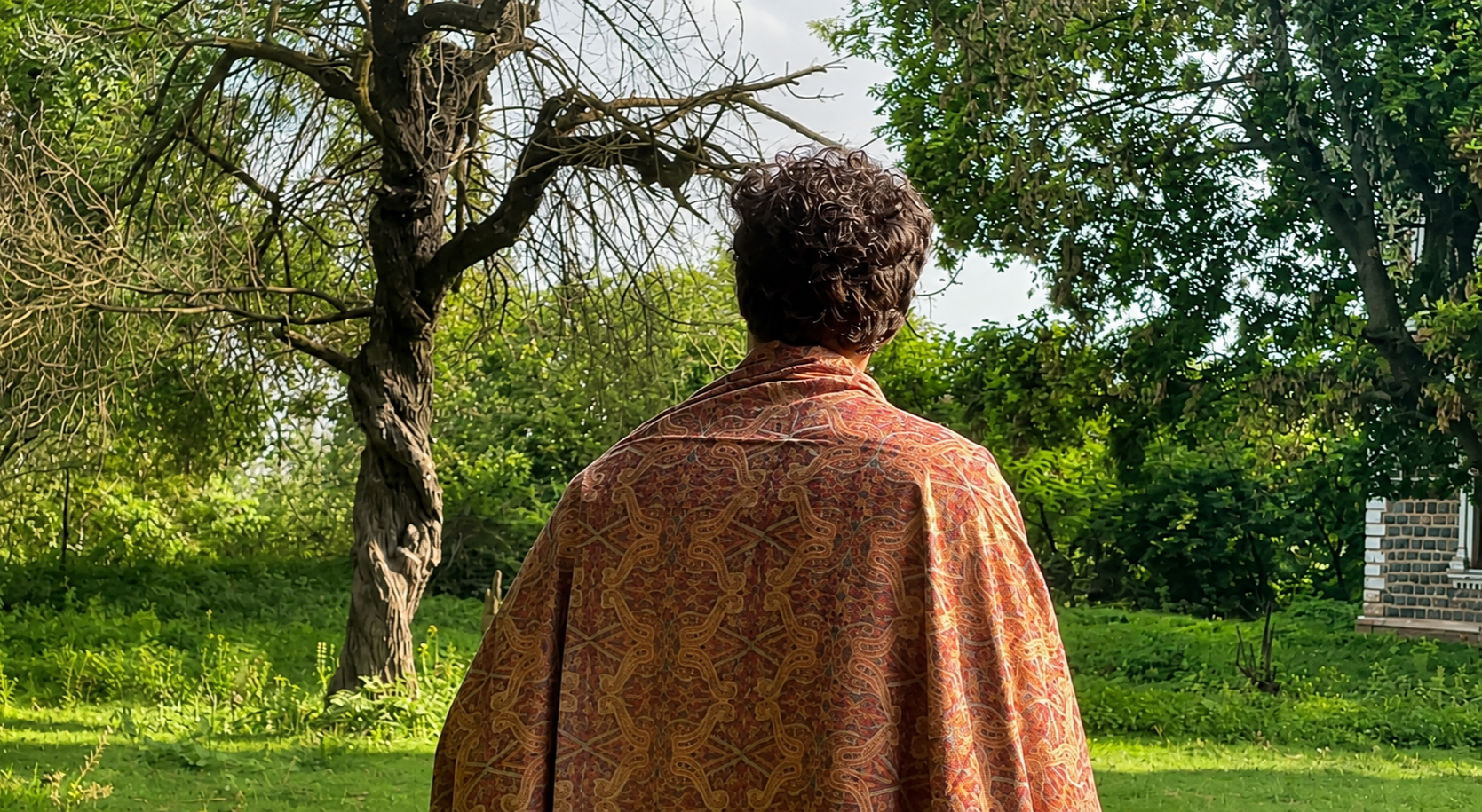 Kashmiri shawl